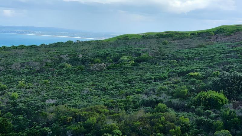 4 Bedroom Property for Sale in Pinnacle Point Golf Estate Western Cape